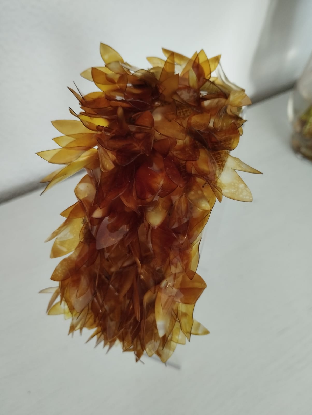 Diadema "Tista" caramelo